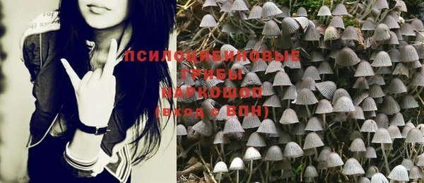 ECSTASY Аркадак