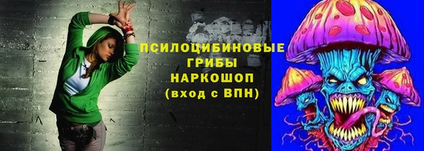 ECSTASY Аркадак